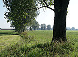 Sch&ouml;nes Tal