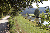Altm&uuml;hlradweg: Weg am Wald entlang