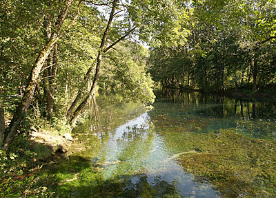 Altm&uuml;hlradweg: Altwasser der Altm&uuml;hl