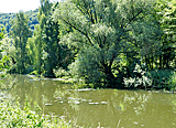 Ludwig-Main-Donaukanal