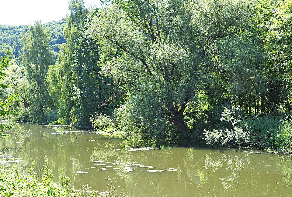 Ein erhaltenes Teilstück des Ludwig-Main-Donaukanals