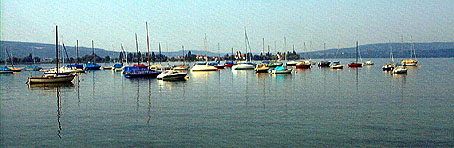 Reichenau