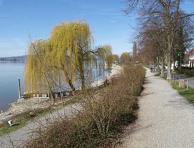 Uferpromenade in Allensbach