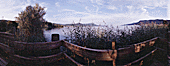 Panorama bei Bodman
