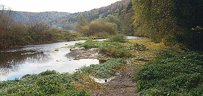 Donauversickerung