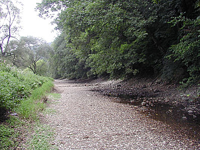 Donauabw&auml;rts