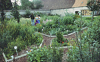 Kr&auml;utergarten