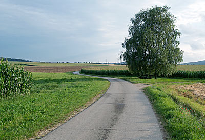 Radweg nach Daugendorf