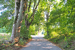 Radweg zum Kloster