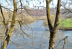 Wilde Donau