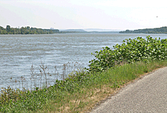 Auf dem Donaudamm