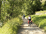 Durch den b&ouml;hmiischen Wald