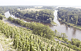 Melnik: Zusammenfluss von Elbe und Moldau