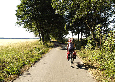 Alleenstra&szlig;e nach Lo&szlig;wig