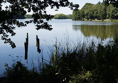 Idyllischer Gro&szlig;teich