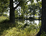 Langer Teich