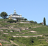 Weingut Schloss Wackerbarth