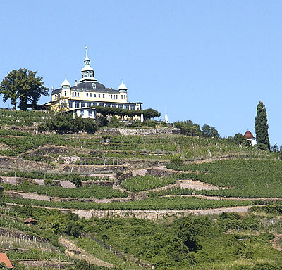 Weingut Spitzhaus