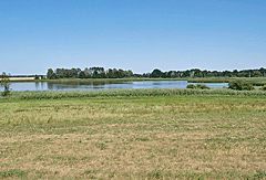 Dippelsdorfer Teich