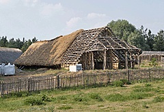 Das Steinzeithaus