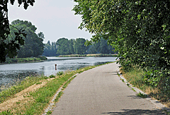 Radweg an der Elbe