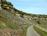 Steilhang
