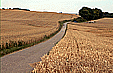 Nach Ditzingen