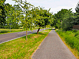 Radweg nach Marienthal