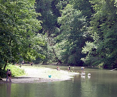Ein Rheinzufluss bei Teufen