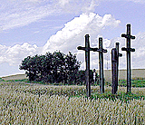 Pestkreuze