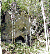 Zauberwald