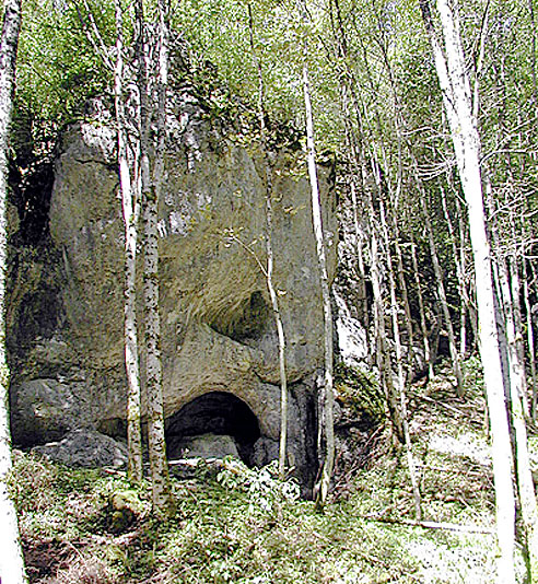 Zauberwald