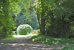 Schlossgarten Neuendettelsau