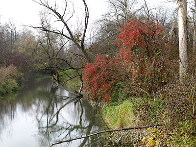 Bei den Altwassern der Isar