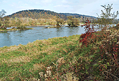 Zusammenfluss Isar und Donau