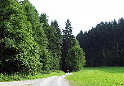 Waldetappe