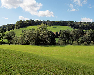 Hügelige Landschaft bei Untermünkheim
