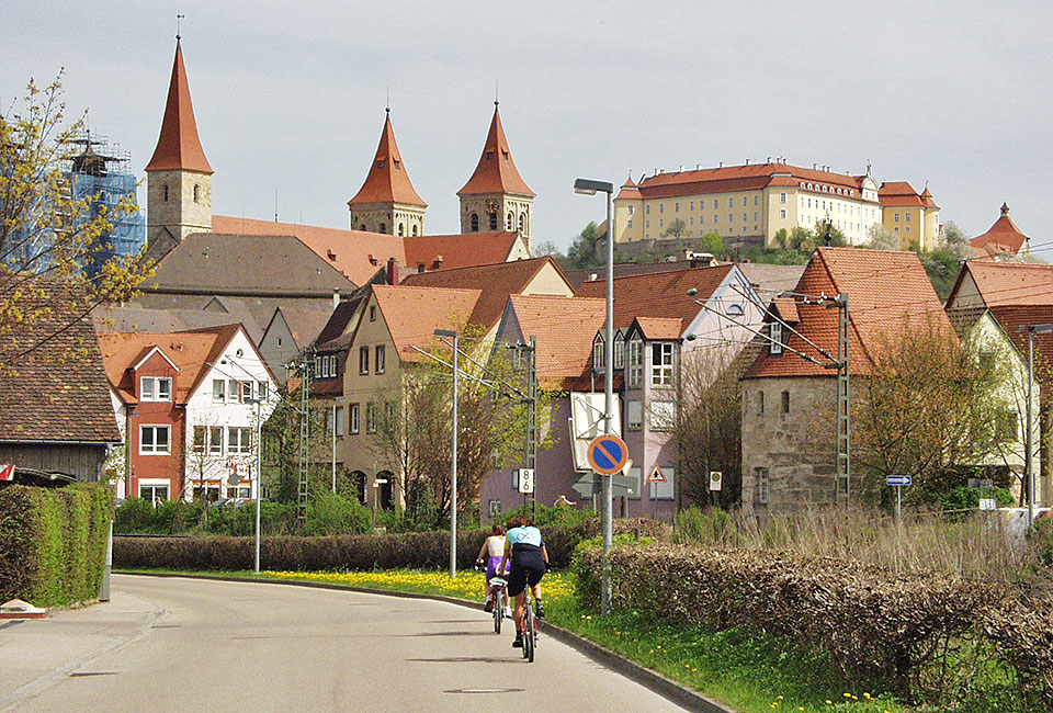 Blick auf Kirchen und Schloss in Ellwangen
