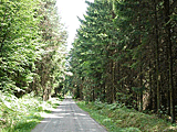 Durch den Wald