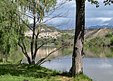 Flussufer des Ebro
