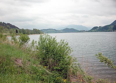 Bodensee-K&ouml;nigseeradweg: Radweg um den Alpsee