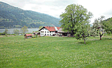 Radweg bei Alpseewies