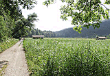 Schlierach