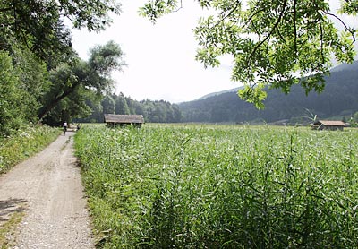 Bodensee-K&ouml;nigseeradweg: Bad T&ouml;lz
