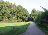 Radweg nach Rohrdorf