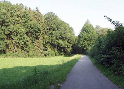 Bodensee-K&ouml;nigseeradweg: Radweg hinter Rohrdorf