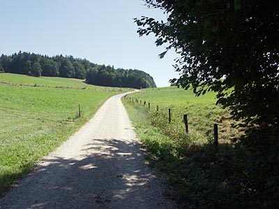 Bodensee-K&ouml;nigseeradweg: Ortsmitte von Bergen