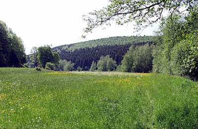 Nach Gomadingen