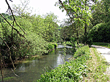 Natur pur