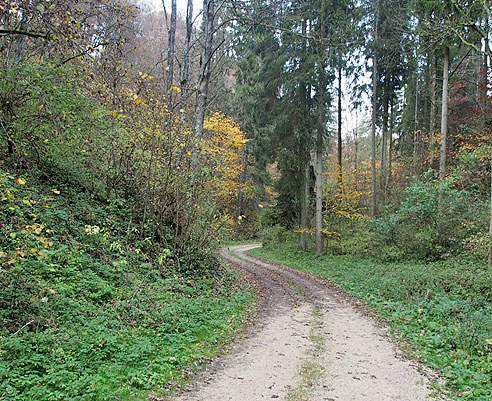 Schöner Waldweg hinter Hayingen